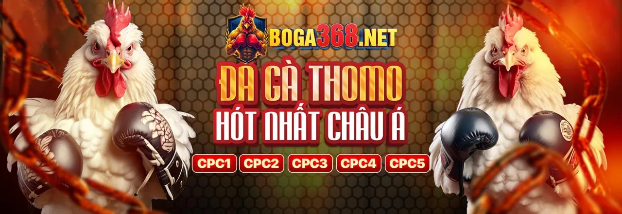 Đá gà trực tuyến XN88 Link
